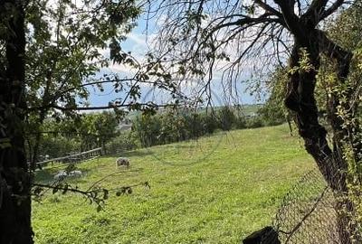 Casă cu 5 camere cu Teren 2000 Mp în Dumitra