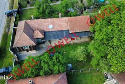 Casă cu Teren 1647 Mp în Mereni - 6
