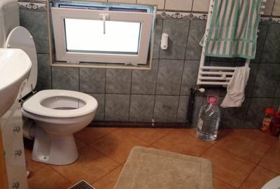 Casă cu 6 camere cu Teren 1300 Mp în Secăriei - 7