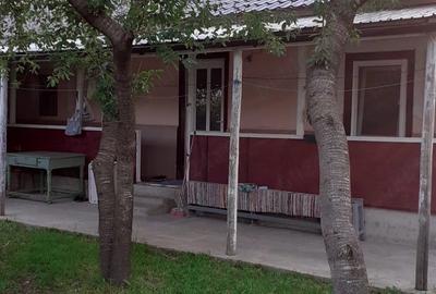 Casă cu Teren 2436 Mp în Cotu Ciorii