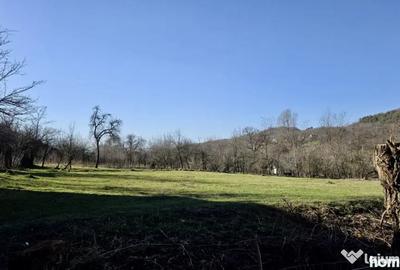 Teren de 4549 mp, în Gura Vitioarei