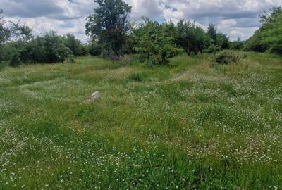 Teren Construcții intravilan de 3006 mp, în Smeura - 5