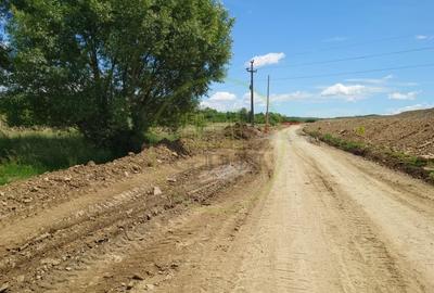Teren agricol extravilan de 1800 mp, în Avrig - 4