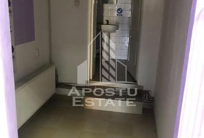 Spațiu comercial, de 60 mp, în Iosefin