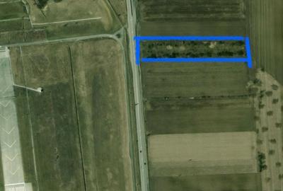 Teren de 6400 mp, în Cristian - 2