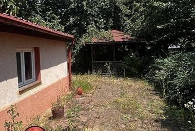 Casă cu 4 camere cu Teren 140 Mp în Gruiu - 4