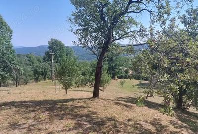 Teren de 2000 mp, în Pietriceaua - 1