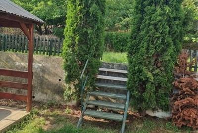 Casă cu 3 camere în Central