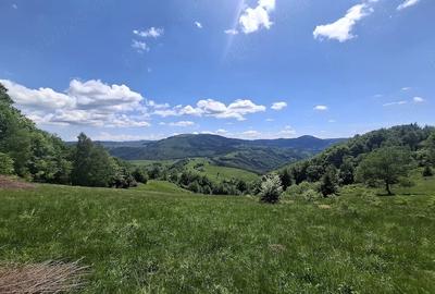Teren de 6695 mp, în Mogoș - 2