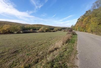 Teren de 1083 mp, în Cladova - 3