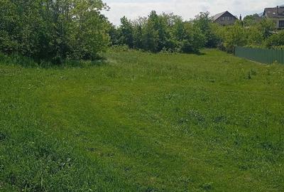 Teren de 2926 mp, în Ciritei - 9