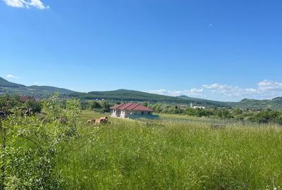 Teren de 12000 mp, în Central - 2
