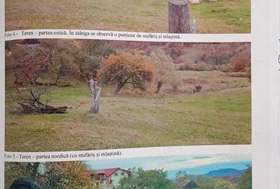 Teren de 10731 mp, în Sohodol - 2