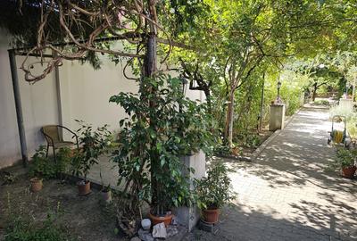 Casă cu 10 camere cu Canalizare în Tei - 3