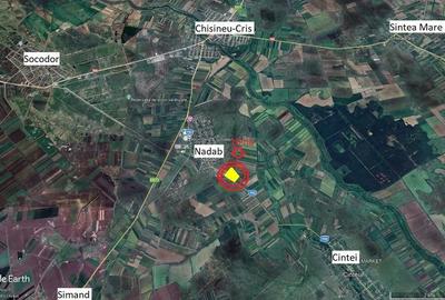 Teren de 100000 mp, în Nădab