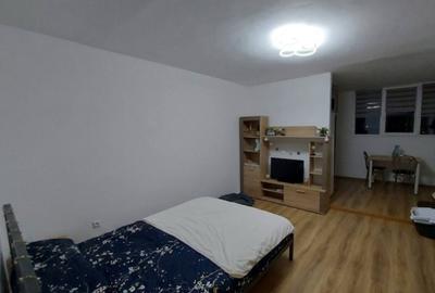 Garsonieră semidecomandată în Mănăștur - 1