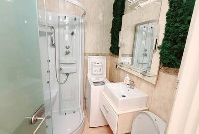 Apartament cu 2 camere semidecomandat în Iancului - 6