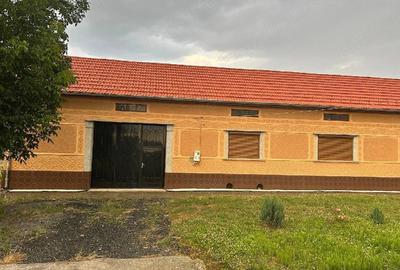 Casă cu Teren 1800 Mp în Constantin Daicoviciu