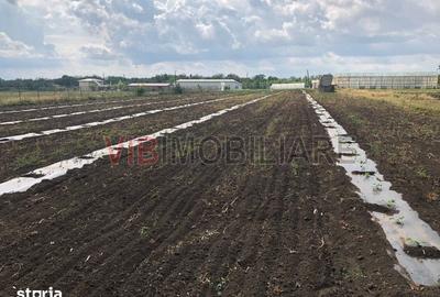 Teren de 30000 mp, în Nicolae Bălcescu - 8
