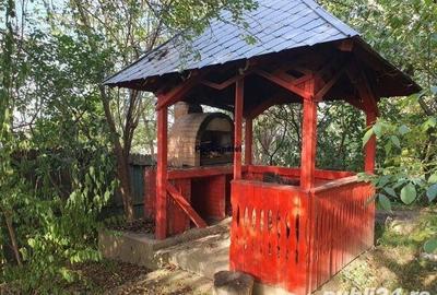 Casă cu 3 camere cu Teren 8000 Mp în Podenii Vechi - 1