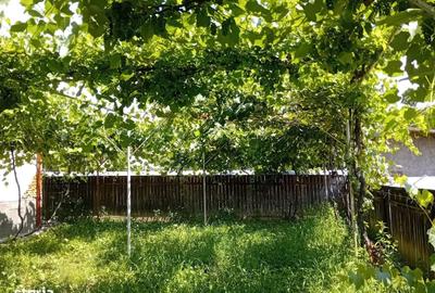 Casă cu 4 camere în Curița