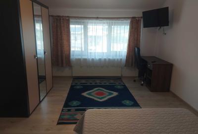 Apartament cu 2 camere decomandat în Livezeni - 2
