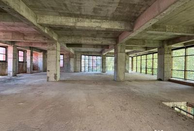 Spațiu comercial, de 1,100 mp, în Floreasca - 3