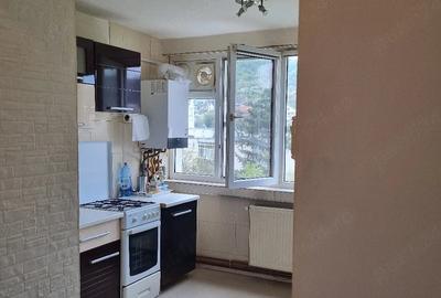 Apartament cu 3 camere semidecomandat în Grigorescu - 8