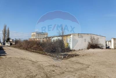 Spațiu industrial, de 5,000 mp, în Niculițel - 9