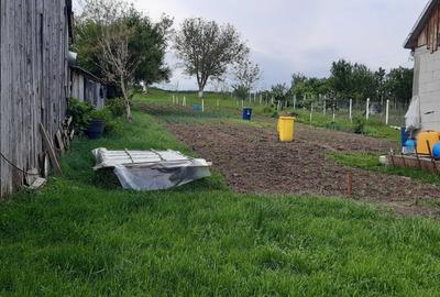 Casă cu 2 camere în Central - 3
