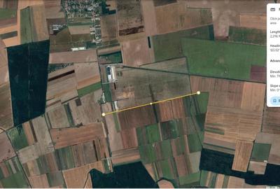 Teren agricol extravilan de 25000 mp, în Afumați - 2