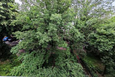 Apartament cu 3 camere semidecomandat în Titan - 13
