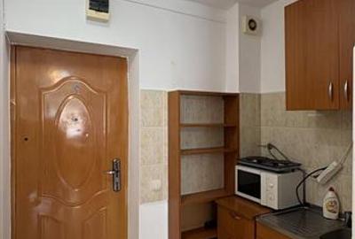 Apartament cu 2 camere circular, mobilat în Gruia - 10