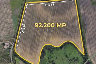 Teren agricol extravilan de 92200 mp, în Mehala - 1