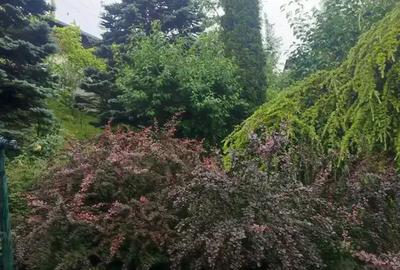 Casă cu 4 camere cu Canalizare în Tălii - 3