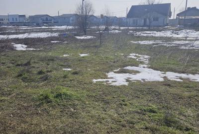 Teren de 400 mp, în Tunari - 4
