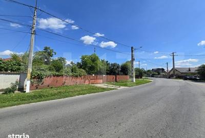 Casă cu 3 camere cu Teren 1100 Mp în Central - 1