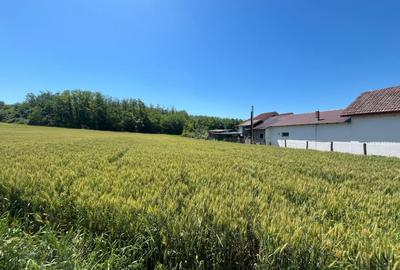Teren Construcții intravilan de 2533 mp, în Exterior Nord