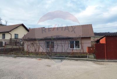 Casă cu 3 camere cu Teren 545 Mp în Central - 5