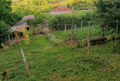 Casă cu 4 camere în Esechioi - 7