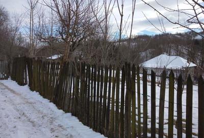 Teren de 1263 mp, în Aluniș - 6