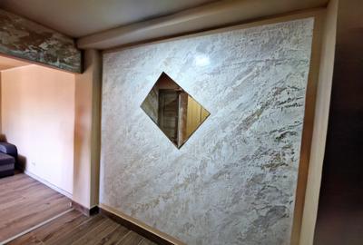 Apartament cu 2 camere nedecomandat în Take Ionescu - 15