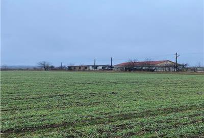 Teren Construcții intravilan de 28000 mp, în Est - 1