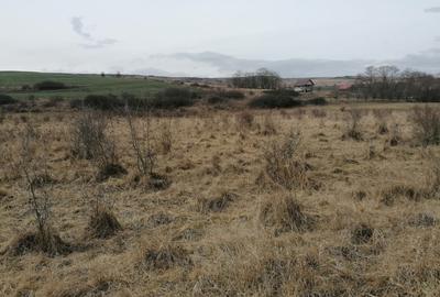 Teren agricol extravilan de 12600 mp, în Chinteni - 3
