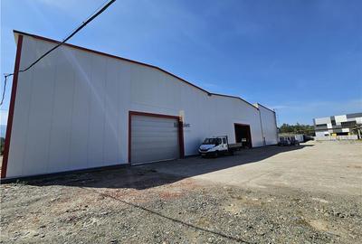 Spațiu industrial, de 6,500 mp, în Mârșa - 3