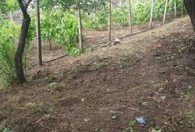 Casă cu 3 camere cu Teren 1746 Mp în Cudalbi - 2