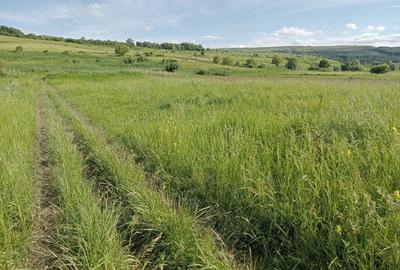 Teren de 1300 mp, în Chinteni - 2