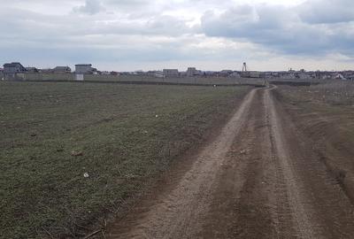 Teren de 972 mp, în Lazu - 3