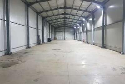 Spațiu comercial, de 370 mp, în Domnești - 7