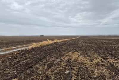 Teren agricol extravilan de 39144 mp, în Păulești - 14
